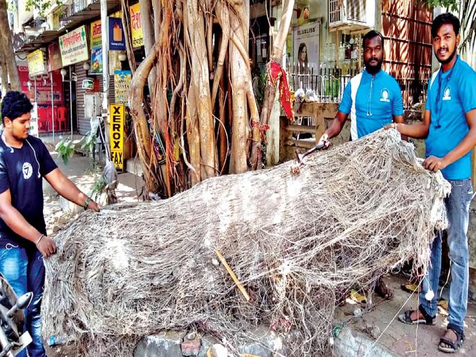 Nation of trees in Kalyan, Banner free, citizens awareness | कल्याणमधील झाडे खिळे, बॅनरमुक्त, नागरिकांमध्ये जागृती Nation of trees in Kalyan, Banner free, citizens awareness | कल्याणमधील झाडे खिळे, बॅनरमुक्त, नागरिकांमध्ये जागृती