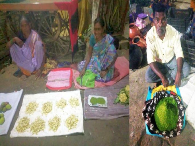 Wild fruits in the forest have attracted the residents of urban areas | जंगलातील रानमेव्याने पाडली शहरी भागातील नागरिकांना भुरळ Wild fruits in the forest have attracted the residents of urban areas | जंगलातील रानमेव्याने पाडली शहरी भागातील नागरिकांना भुरळ