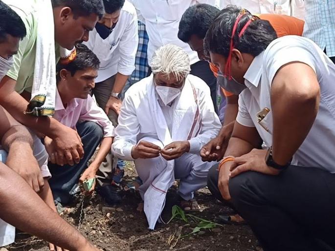 Attitude: Weeding in the hands of the Minister of Agriculture to remove the weeds of Khabugiri | दृष्टिकोन- खाबूगिरीचं तण काढण्यासाठी कृषिमंत्र्यांच्या हातात खुरपं Attitude: Weeding in the hands of the Minister of Agriculture to remove the weeds of Khabugiri | दृष्टिकोन- खाबूगिरीचं तण काढण्यासाठी कृषिमंत्र्यांच्या हातात खुरपं