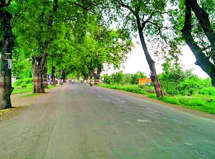 Two and a half thousand trees will be harvested | अडीच हजार झाडांची होणार कापणी