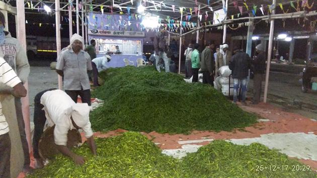 Chili of Rajura market in Amravati district Famous in abroad | अमरावती जिल्ह्यातल्या राजुरा बाजारच्या मिरचीला सुगीचे दिवस; परदेशात प्रसिद्ध Chili of Rajura market in Amravati district Famous in abroad | अमरावती जिल्ह्यातल्या राजुरा बाजारच्या मिरचीला सुगीचे दिवस; परदेशात प्रसिद्ध