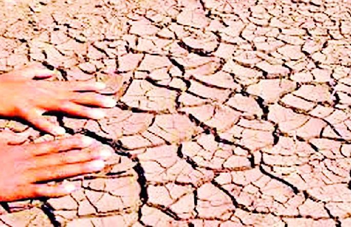 Due to drought, farmer fears | दुष्काळाची चाहूल, शेतकरी धास्तावला