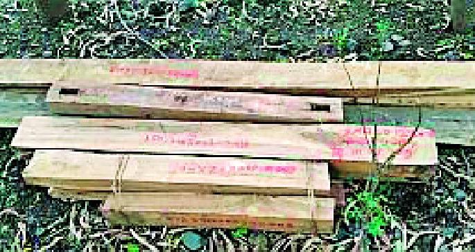 Patroot police caught Saavana | पथ्रोट पोलिसांनी सागवान पकडले