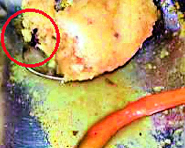 Wada-Sambar | वडा-सांबरात निघाला मुंगळा  Wada-Sambar | वडा-सांबरात निघाला मुंगळा