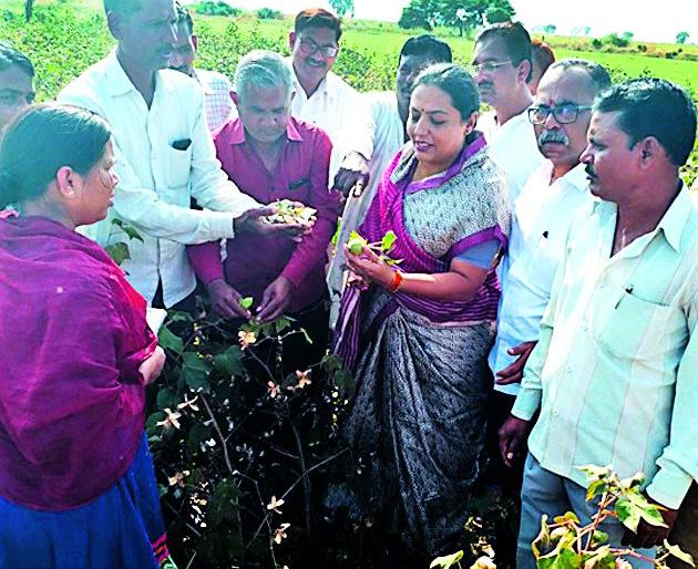 Farmers should be compensated for damages | बोंडअळी नुकसानीची भरपाई शेतकऱ्यांना मिळावी