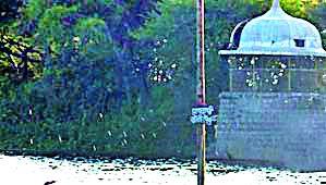 12.35 crore newspapers of umbrella beautification | छत्रीतलाव सौंदर्यीकरणाचे १२.३५ कोटी अखर्चित 12.35 crore newspapers of umbrella beautification | छत्रीतलाव सौंदर्यीकरणाचे १२.३५ कोटी अखर्चित