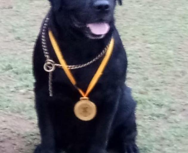 The last salute to the jawan 'Johnny' ... | जाँबाज श्वान ‘जॉनी’ला अखेरचा सलाम...