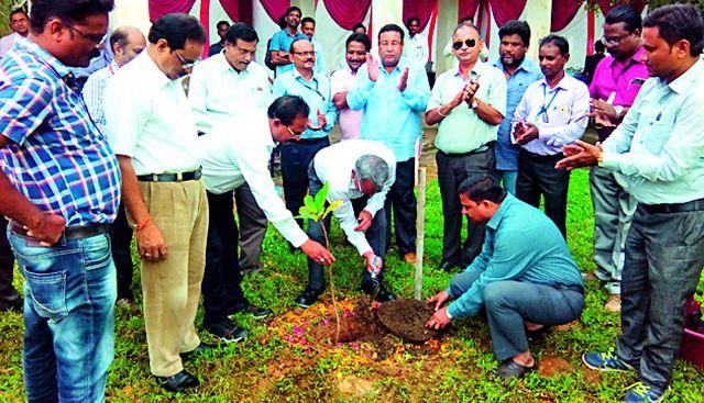 The need for timing of tree conservation | वृक्षसंवर्धन ही काळाची गरज The need for timing of tree conservation | वृक्षसंवर्धन ही काळाची गरज