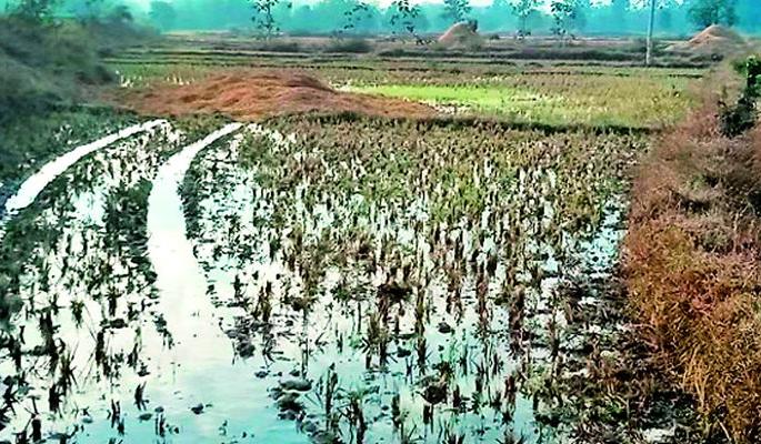 Leakage of water from the gate of Bawanthadi canal | बावनथडी कालव्याच्या गेटमधून पाण्याची गळती Leakage of water from the gate of Bawanthadi canal | बावनथडी कालव्याच्या गेटमधून पाण्याची गळती