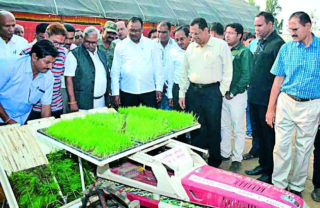 Funds worth Rs. 45 crores for connecting agricultural pumps | कृषी पंप जोडणीसाठी ४५ कोटींचा निधी देऊ Funds worth Rs. 45 crores for connecting agricultural pumps | कृषी पंप जोडणीसाठी ४५ कोटींचा निधी देऊ