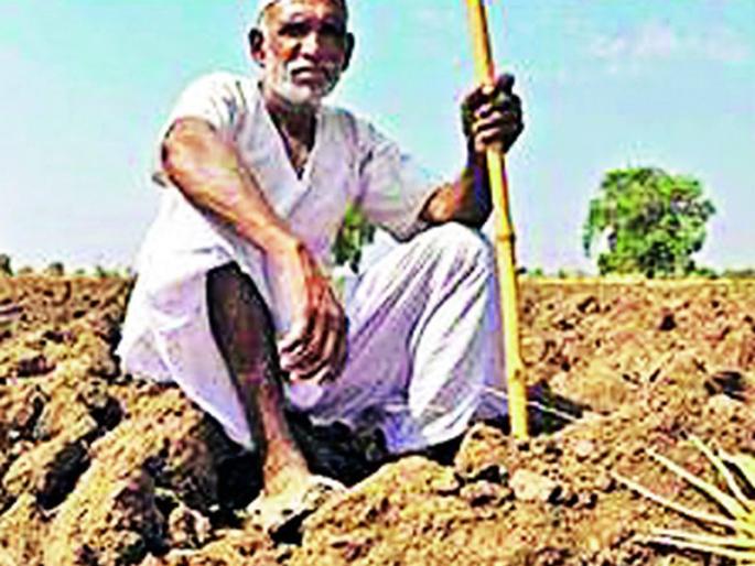 District bank 64 percent, nationalized seven percent | जिल्हा बँक ६४ टक्के, राष्ट्रीयीकृत सात टक्के District bank 64 percent, nationalized seven percent | जिल्हा बँक ६४ टक्के, राष्ट्रीयीकृत सात टक्के