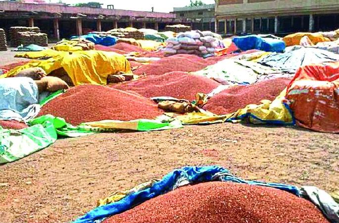 Humidity become hurdle in toor procurment in Buldhana | तूर खरेदीच्या मुहूर्तावरच आर्द्रतेचा खोडा! Humidity become hurdle in toor procurment in Buldhana | तूर खरेदीच्या मुहूर्तावरच आर्द्रतेचा खोडा!