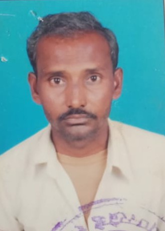 Strong salute of deer in the district | जिल्ह्यात मृगाची जोरदार सलामी  Strong salute of deer in the district | जिल्ह्यात मृगाची जोरदार सलामी