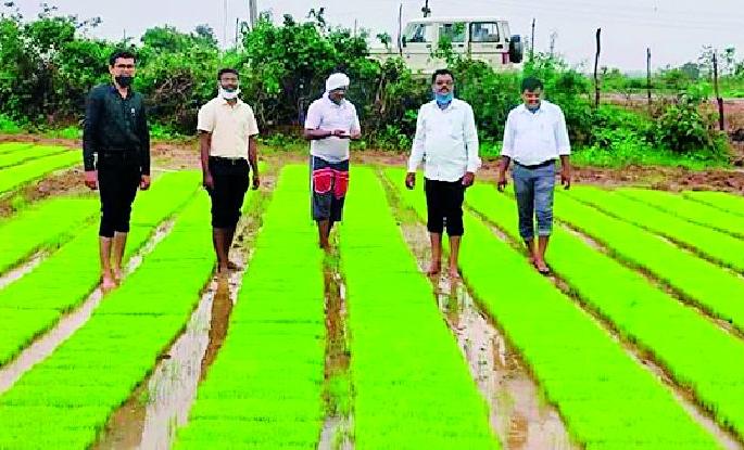 Farmers worried due to lack of rains | पावसाअभावी रोवण्या खोळंबल्याने शेतकरी चिंतातूर