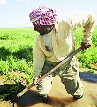 Farmer debt forgiveness leads to headache | शेतकरी कर्जमाफी ठरतेय डोकेदुखी