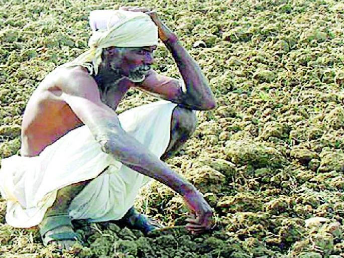 The victim's struggle for loan | कर्जासाठी बळीराजाची धडपड The victim's struggle for loan | कर्जासाठी बळीराजाची धडपड