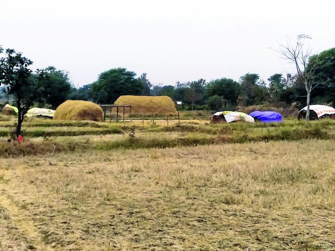 The agony of the farmers increased | शेतकऱ्यांच्या काळजाची धडधड वाढली The agony of the farmers increased | शेतकऱ्यांच्या काळजाची धडधड वाढली