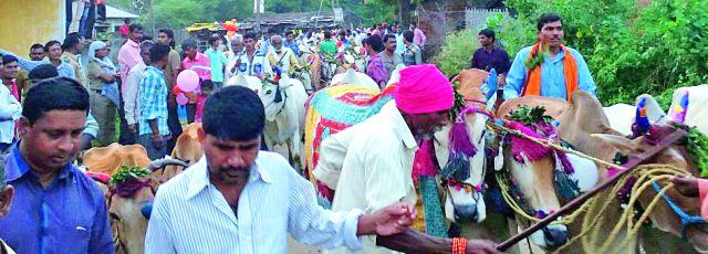 The bailpola remains for the name | बैलपोळा उरला आता नावापुरताच The bailpola remains for the name | बैलपोळा उरला आता नावापुरताच
