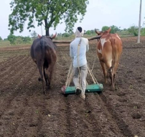 farmers waiting for monsoon | शेतकऱ्यांसह सर्वांच्या नजरा लागल्या नभाकडे ! farmers waiting for monsoon | शेतकऱ्यांसह सर्वांच्या नजरा लागल्या नभाकडे !