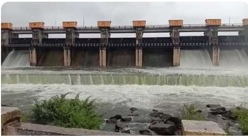Heavy rains in Dindori taluka | दिंडोरी तालुक्यात पावसांची जोरदार बॅटिंग Heavy rains in Dindori taluka | दिंडोरी तालुक्यात पावसांची जोरदार बॅटिंग
