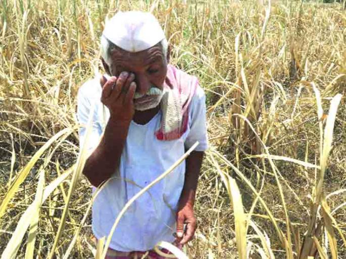 Adgaon farmers get 2 times penalty notices | आडगावच्या शेतकऱ्यांना ४० पट दंडाच्या नोटिसा Adgaon farmers get 2 times penalty notices | आडगावच्या शेतकऱ्यांना ४० पट दंडाच्या नोटिसा