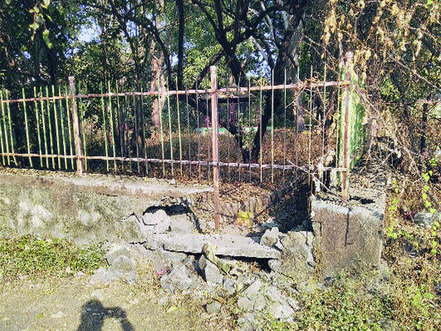 The identity of the rare tree park is lost | दुर्मीळ वृक्ष उद्यानाची ओळख हरवली The identity of the rare tree park is lost | दुर्मीळ वृक्ष उद्यानाची ओळख हरवली