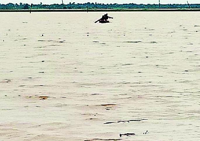 The farmland under the water of Madigdad | शेतजमीन मेडिगड्डाच्या पाण्याखाली The farmland under the water of Madigdad | शेतजमीन मेडिगड्डाच्या पाण्याखाली