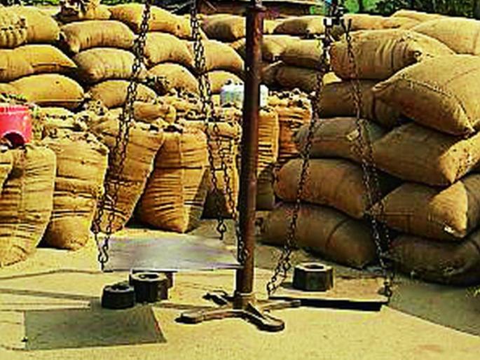 Paddy procurement reached 70 thousand quintals | ७० हजार क्विंटलवर धान खरेदी पोहोचली Paddy procurement reached 70 thousand quintals | ७० हजार क्विंटलवर धान खरेदी पोहोचली