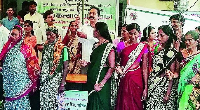 Increase agricultural production through the benefits of schemes | योजनांच्या लाभातून कृषी उत्पादन वाढवा