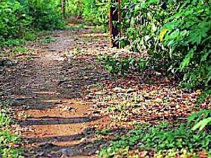 Lok Sabha Election 2019; Infantry Commissioners | Lok Sabha Election 2019; मतदान कर्मचाऱ्यांची पायदळ वारी Lok Sabha Election 2019; Infantry Commissioners | Lok Sabha Election 2019; मतदान कर्मचाऱ्यांची पायदळ वारी