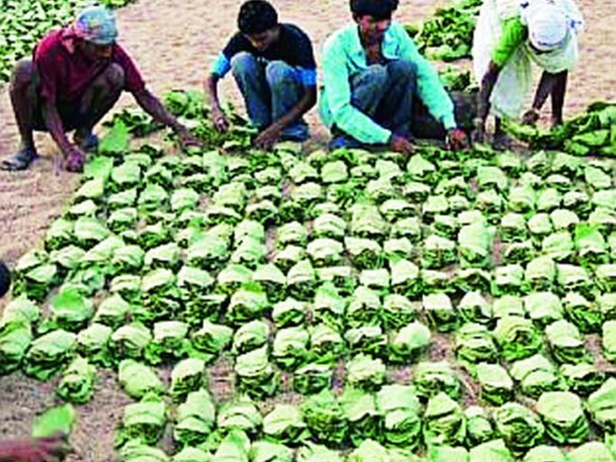 Lost to deposit wages in the bank | बँकेत मजुरी जमा करण्यास खो Lost to deposit wages in the bank | बँकेत मजुरी जमा करण्यास खो