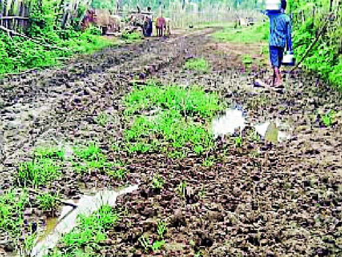 This year, 223 villages will be hit | यावर्षीही बसणार २२३ गावांना फटका This year, 223 villages will be hit | यावर्षीही बसणार २२३ गावांना फटका