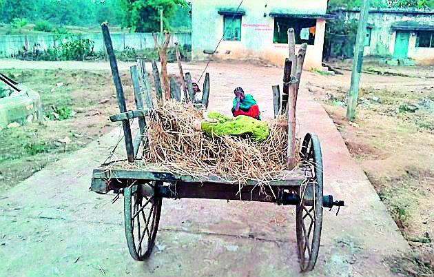 Burundi has been brought dead body | बैलबंडीने आणावा लागला मृतदेह