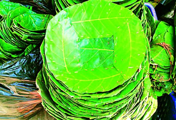 Traditional employment for diamonds with plastic leaflets | प्लास्टीक पत्रावळींनी हिरावला पारंपारिक रोजगार Traditional employment for diamonds with plastic leaflets | प्लास्टीक पत्रावळींनी हिरावला पारंपारिक रोजगार