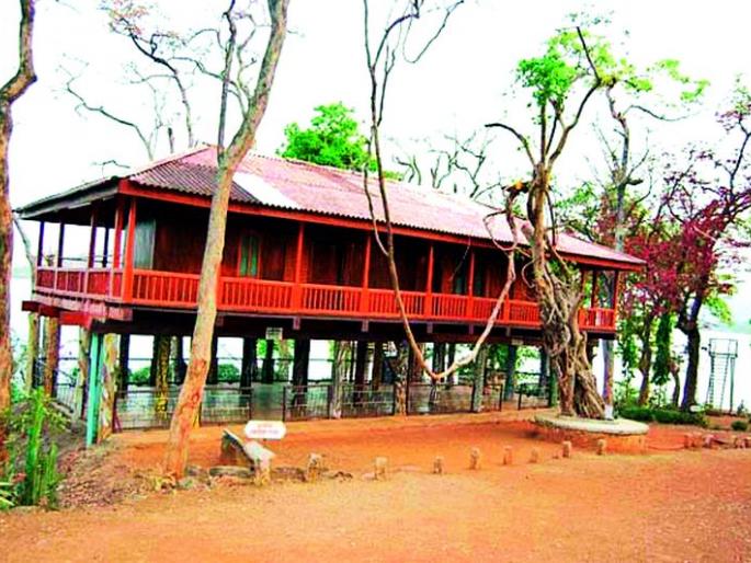 Who will pay attention to the kingdom of the desert in Sanjaykuti of the national park? | राष्ट्रीय उद्यानाच्या संजयकुटीत वाळवीचे साम्राज्य,लक्ष देणार कोण ? Who will pay attention to the kingdom of the desert in Sanjaykuti of the national park? | राष्ट्रीय उद्यानाच्या संजयकुटीत वाळवीचे साम्राज्य,लक्ष देणार कोण ?