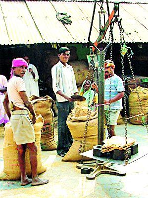 Cash flow in the market committee decreased | बाजार समितीत धानाची आवक घटली Cash flow in the market committee decreased | बाजार समितीत धानाची आवक घटली