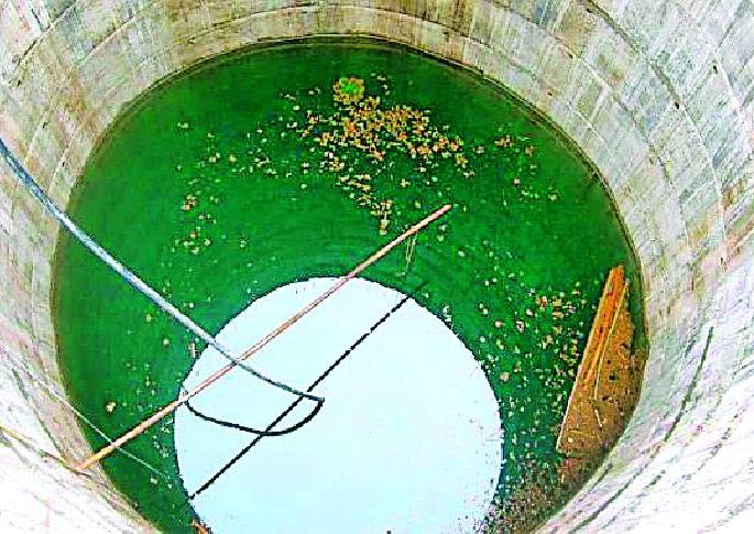 Clearance of public wells in the city will be cleaned | शहरातील सार्वजनिक विहिरींची होणार साफ सफाई Clearance of public wells in the city will be cleaned | शहरातील सार्वजनिक विहिरींची होणार साफ सफाई