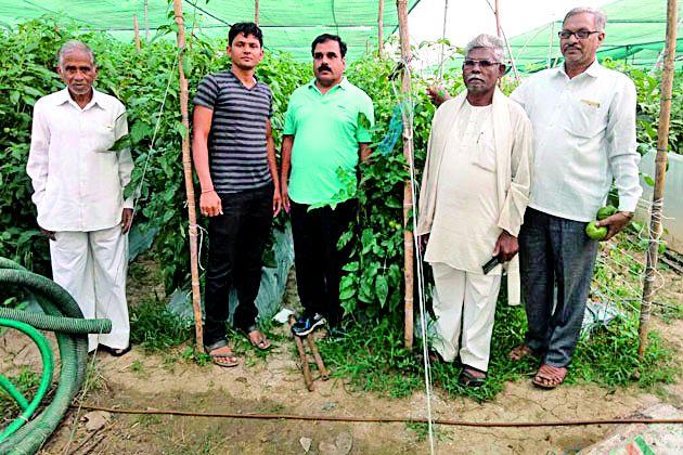 Organic farming can enrich the farmers | सेंद्रिय शेती करून शेतकऱ्यांनी समृद्ध व्हावे Organic farming can enrich the farmers | सेंद्रिय शेती करून शेतकऱ्यांनी समृद्ध व्हावे