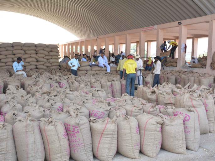 Buy 1032 quintals of soybean | १०३२ क्विंटल सोयाबीन खरेदी Buy 1032 quintals of soybean | १०३२ क्विंटल सोयाबीन खरेदी