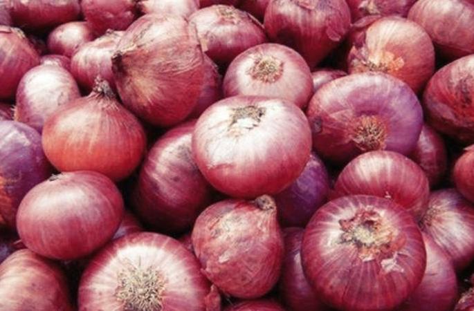 What are you saying... only 30 rupees onion per kg | काय सांगताय...कांदा फक्त ३० रुपये किलो What are you saying... only 30 rupees onion per kg | काय सांगताय...कांदा फक्त ३० रुपये किलो