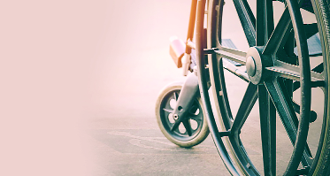 Government assistance for Divya Voters | दिव्यांग मतदारांना शासकीय मदत Government assistance for Divya Voters | दिव्यांग मतदारांना शासकीय मदत