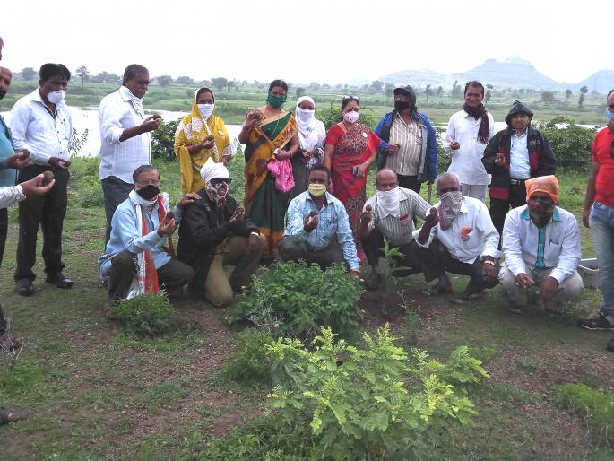 Seedball planting in Vagdardi dam area | वागदर्डी धरण परिसरात सीडबॉलचे रोपण Seedball planting in Vagdardi dam area | वागदर्डी धरण परिसरात सीडबॉलचे रोपण