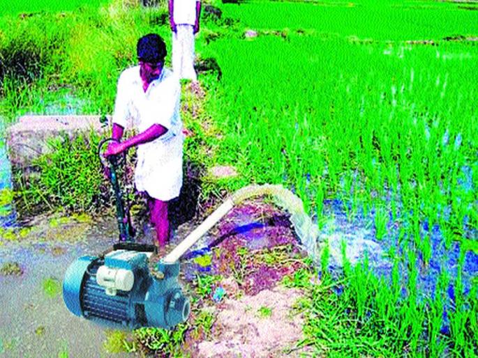 Enforcement of power supply to agriculture consumers as before: Electricity will be repaired for eight hours a day | कृषिपंप ग्राहकांना पूर्वीप्रमाणेच वीजपुरवठाअंमलबजावणी : दिवसा आठ तास वीज पूर्ववत Enforcement of power supply to agriculture consumers as before: Electricity will be repaired for eight hours a day | कृषिपंप ग्राहकांना पूर्वीप्रमाणेच वीजपुरवठाअंमलबजावणी : दिवसा आठ तास वीज पूर्ववत