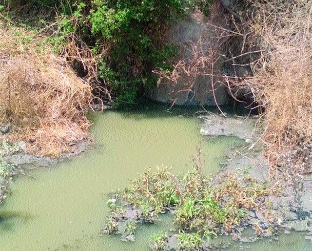 Dangers in the area due to the spread of drainage chamber | निसर्गनगरला ड्रेनेज चेंबर फोडल्याने परिसरात दुर्गंधी Dangers in the area due to the spread of drainage chamber | निसर्गनगरला ड्रेनेज चेंबर फोडल्याने परिसरात दुर्गंधी