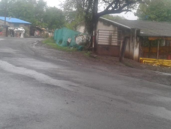 Due to the increasing nuisance of fish, civil health risks | माश्यांच्या वाढत्या उपद्रवामुळे नागरिकांचे आरोग्य धोक्यात Due to the increasing nuisance of fish, civil health risks | माश्यांच्या वाढत्या उपद्रवामुळे नागरिकांचे आरोग्य धोक्यात