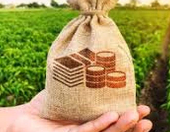 Freed farmers still 'waiting' for loans | मुक्त झालेल्या शेतकऱ्यांना अद्यापही कर्जाची ‘प्रतिक्षा’