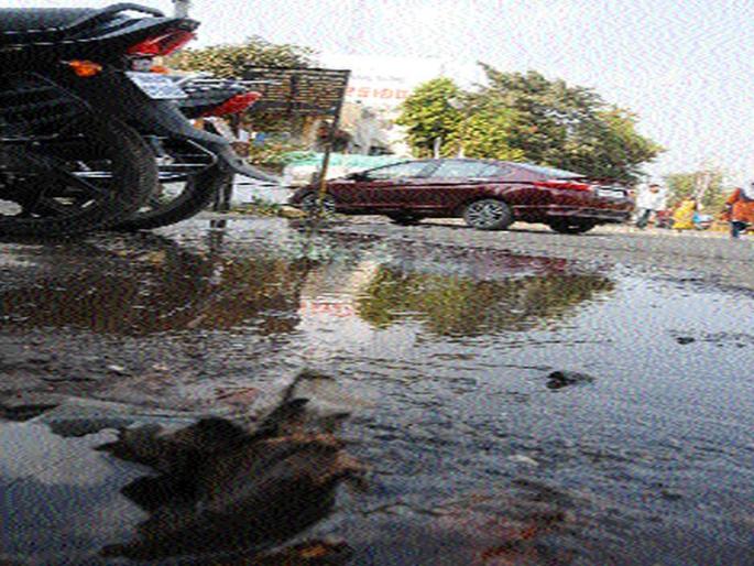 437 leakage detected in the survey | सर्वेक्षणात आढळल्या ४३७ गळत्या 437 leakage detected in the survey | सर्वेक्षणात आढळल्या ४३७ गळत्या