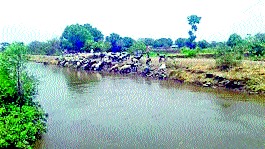 Comfort with spinning of Palakhed | पालखेडच्या आवर्तनाने दिलासा Comfort with spinning of Palakhed | पालखेडच्या आवर्तनाने दिलासा