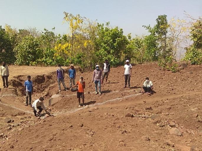20,000 laborers in Nandurbar district during the crisis of Corona | नंदुरबार जिल्'ात कोरोनाच्या संकट काळात 20 हजार मजूरांच्या हाताला काम  20,000 laborers in Nandurbar district during the crisis of Corona | नंदुरबार जिल्'ात कोरोनाच्या संकट काळात 20 हजार मजूरांच्या हाताला काम