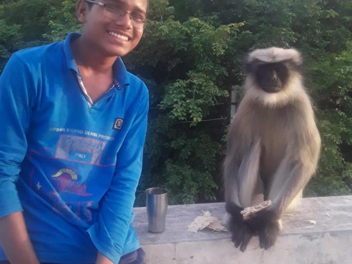 What for the stomach: Animals and birds live in the village to eat! | CoronaVirus Lockdown : पोटासाठी काय पण: खाण्यासाठी पशुपक्षी थेट गावात!